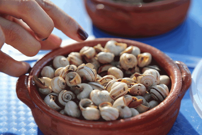 Reguengos de Monsaraz
