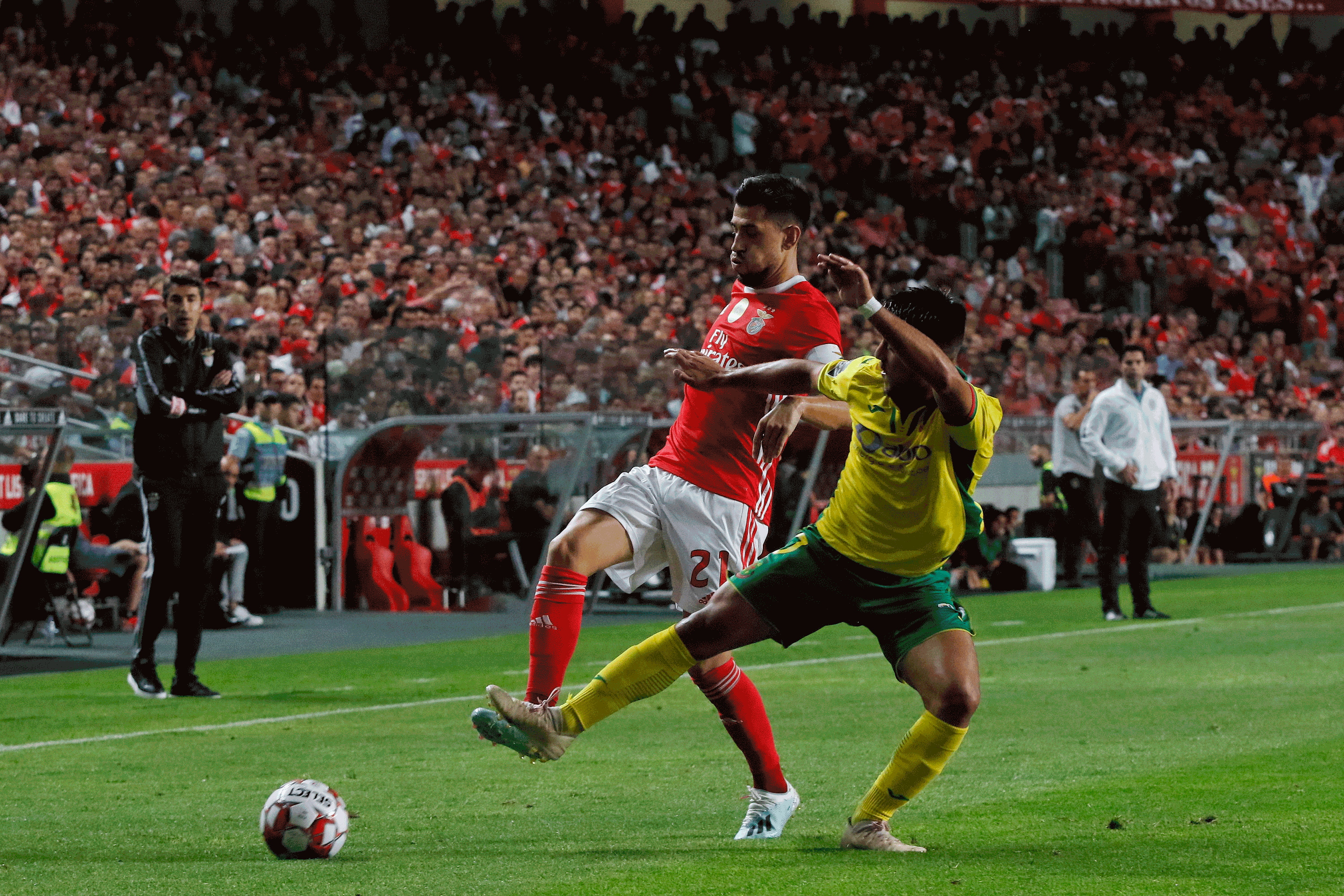 Benfica vs Paços de Ferreira