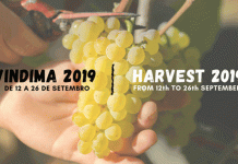Participar na vindima na região demarcada dos Vinhos Verdes é a sugestão da Quinta de Santa Cristina Quinta de Santa Cristina
