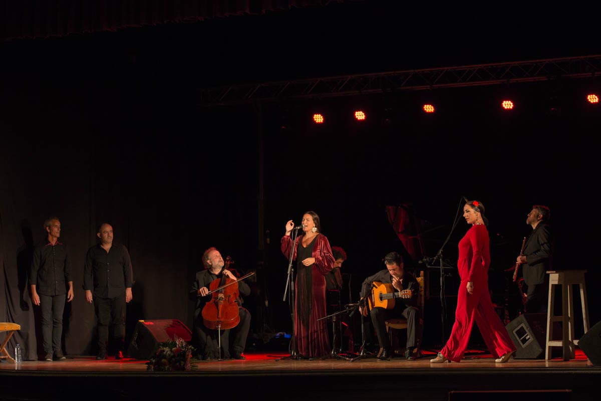 Flamenco