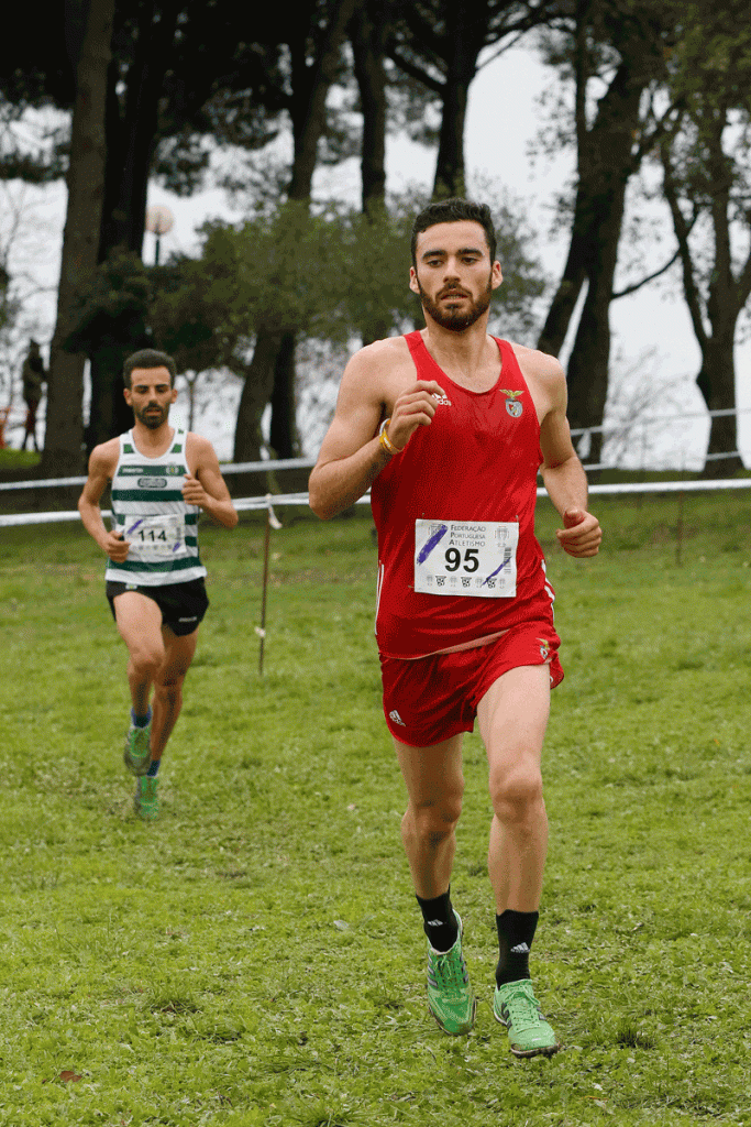 Campeonatos da Europa de Corta-Mato