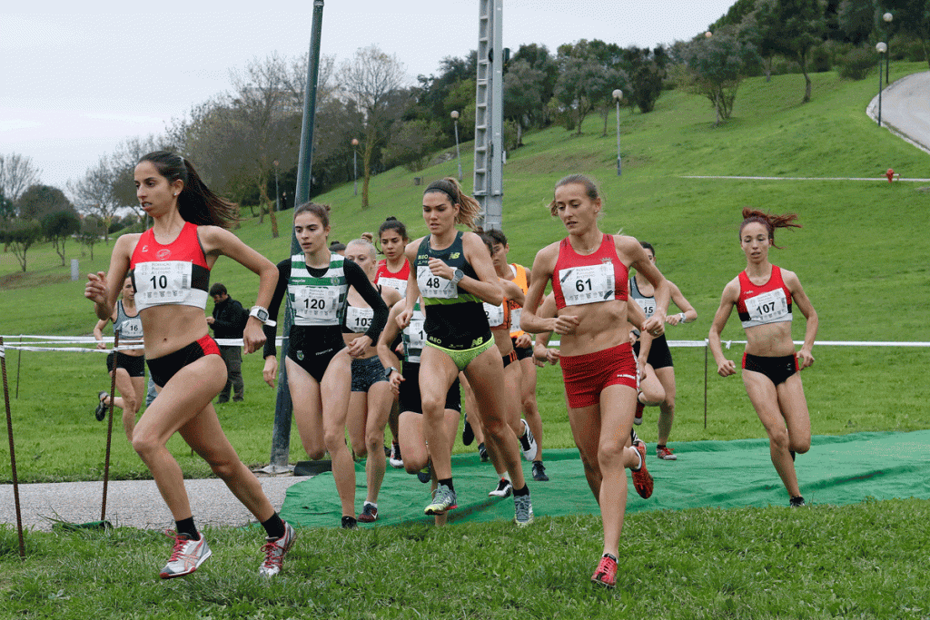 Campeonatos da Europa de Corta-Mato