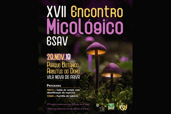 Vila Nova de Paiva