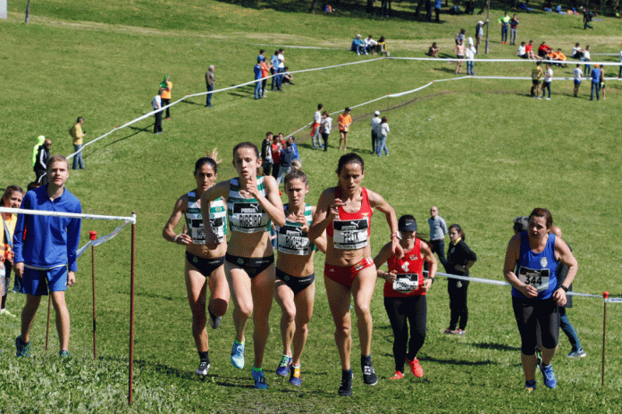 Campeonatos da Europa de Corta-Mato, Parque da Bela Vista, Lisboa