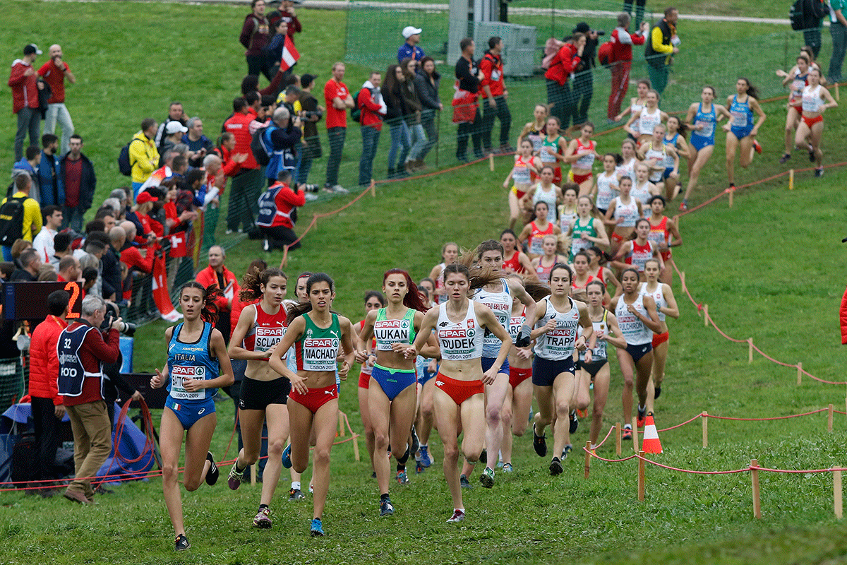 26º Campeonato da Europa de Corta-Mato