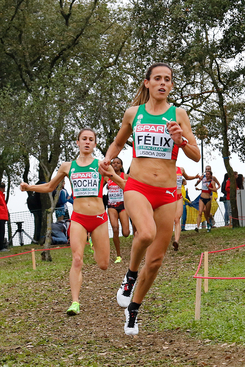 26º Campeonato da Europa de Corta-Mato