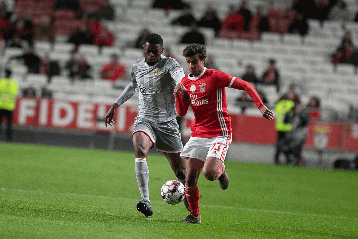 Benfica vs Desportivo das Aves