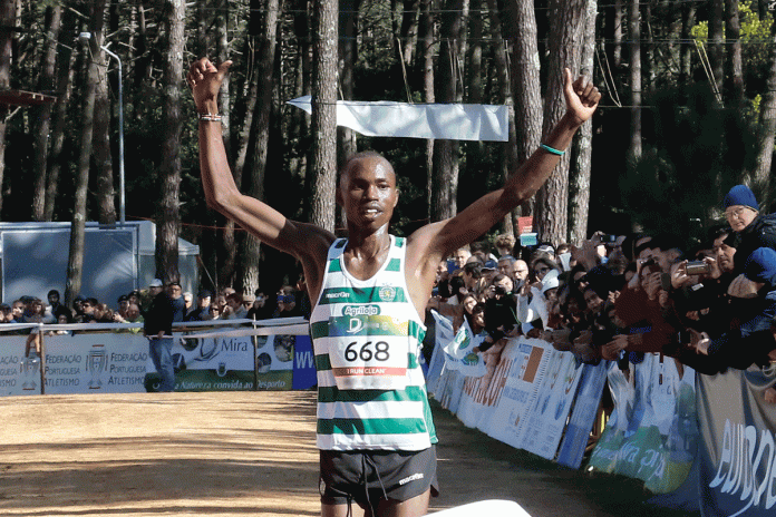 Associação de Atletismo do Algarve