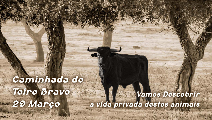 APDF organiza caminhada inédita