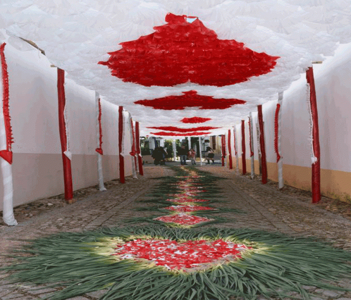 Festas_ Constância