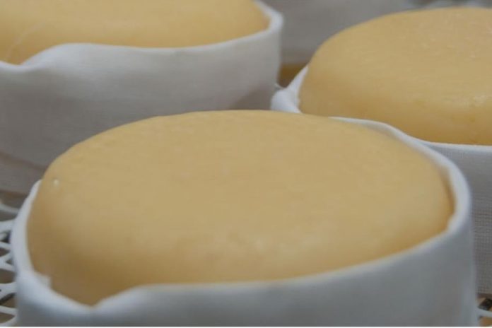Serpa recebe a Semana Gastronómica do Queijo