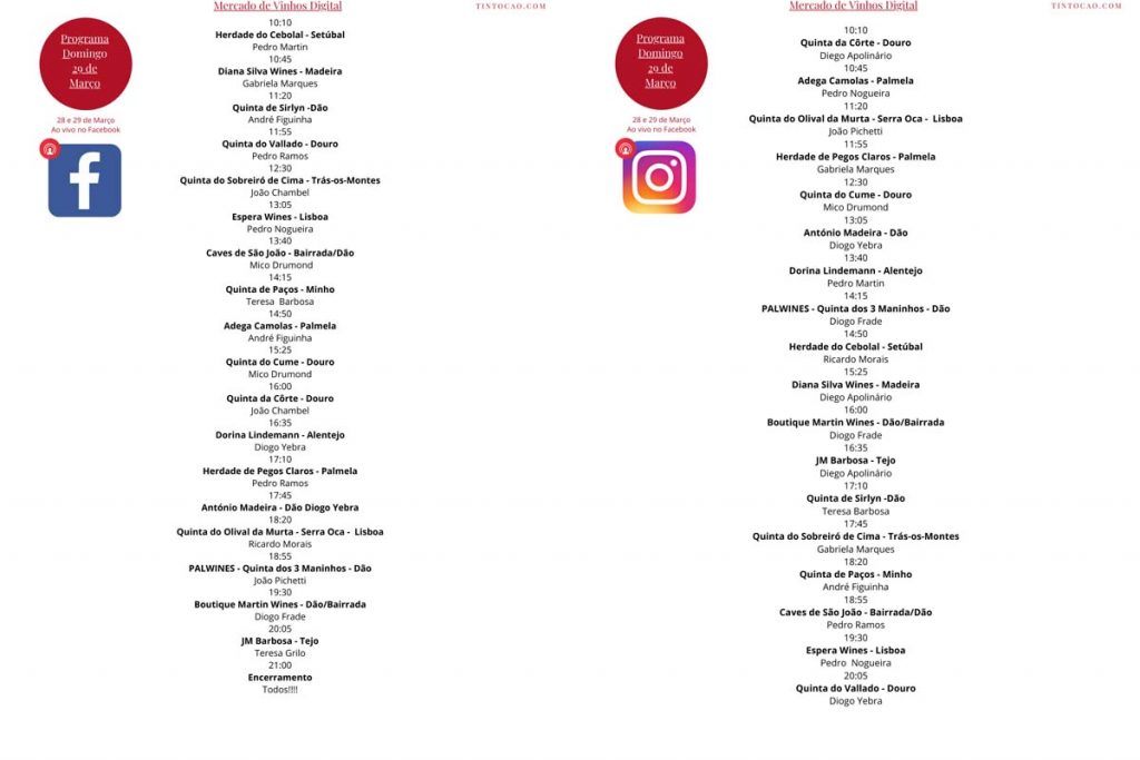 Mercado de Vinhos Digital, com conversas à volta de um copo de vinho