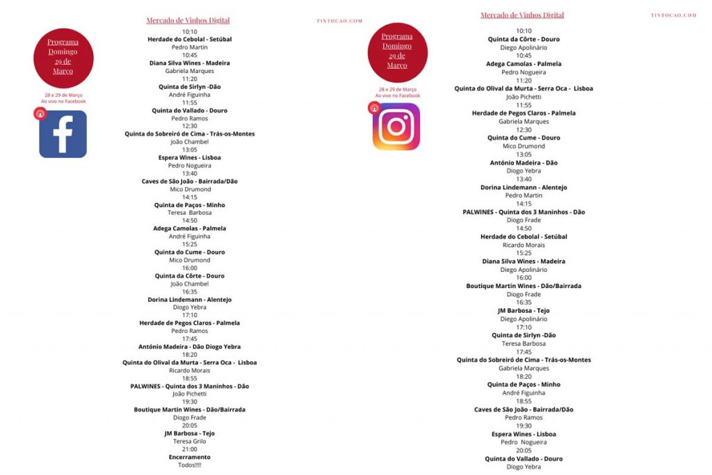Mercado de Vinhos Digital, com conversas à volta de um copo de vinho