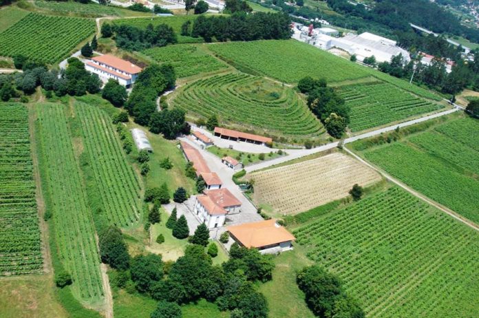 Região dos Vinhos Verdes aumenta em 70% as indemnizações do Seguro de Colheitas
