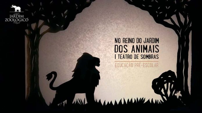 TN_no reino dos animais Jardim Zoológico