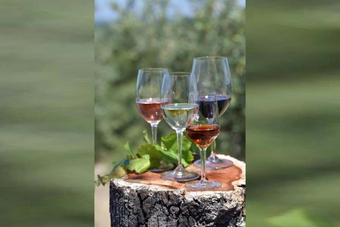 Vinhos da Península de Setúbal