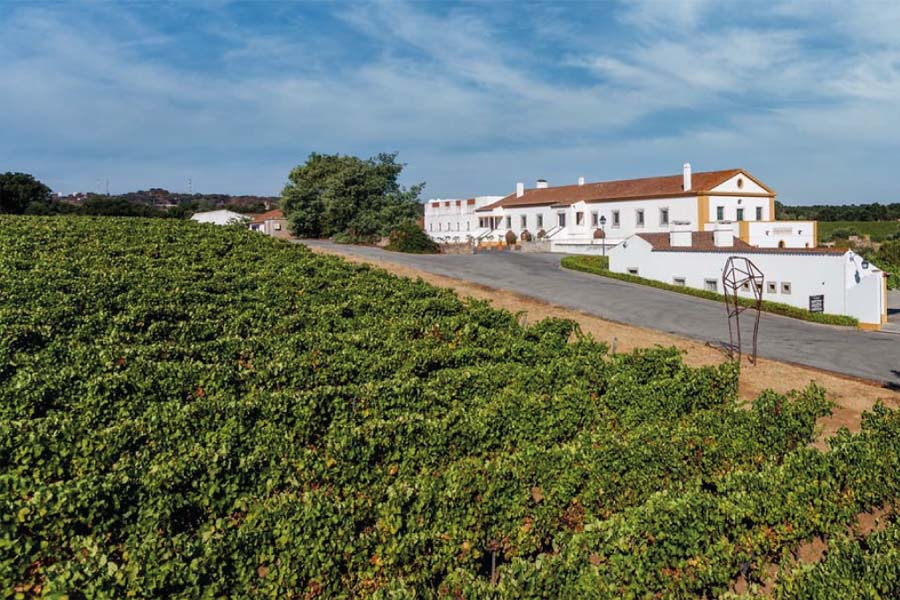 Enoturismo Cartuxa