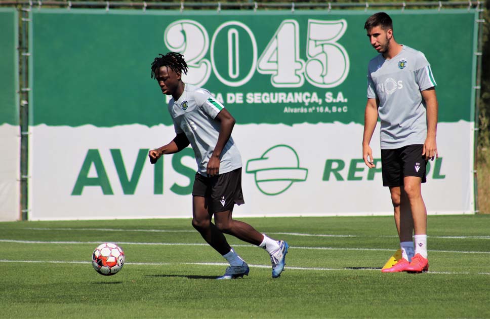 treino