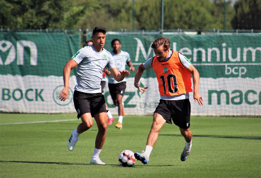 Treino Leões