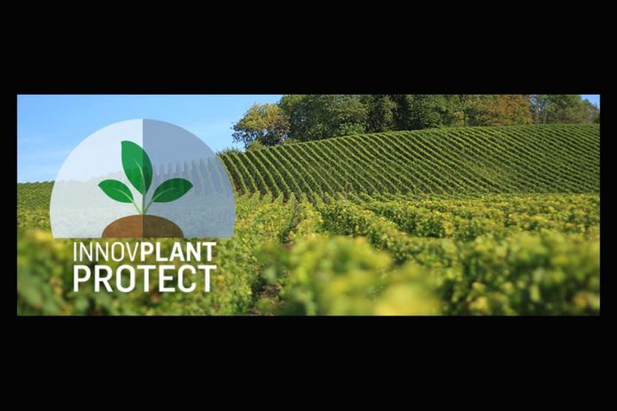 InnovPlantProtect InnovPlantProtect