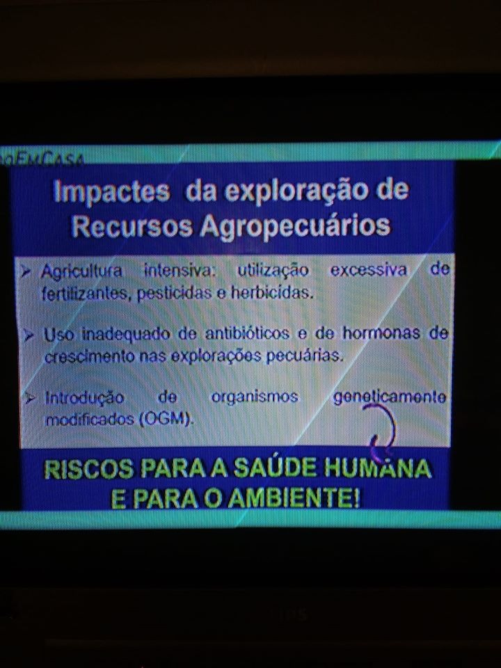 Estudo em casa