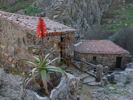 casas t&iacute;picas