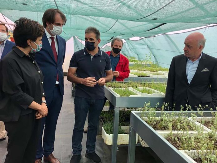 Turismo e Agricultura na região do Dão