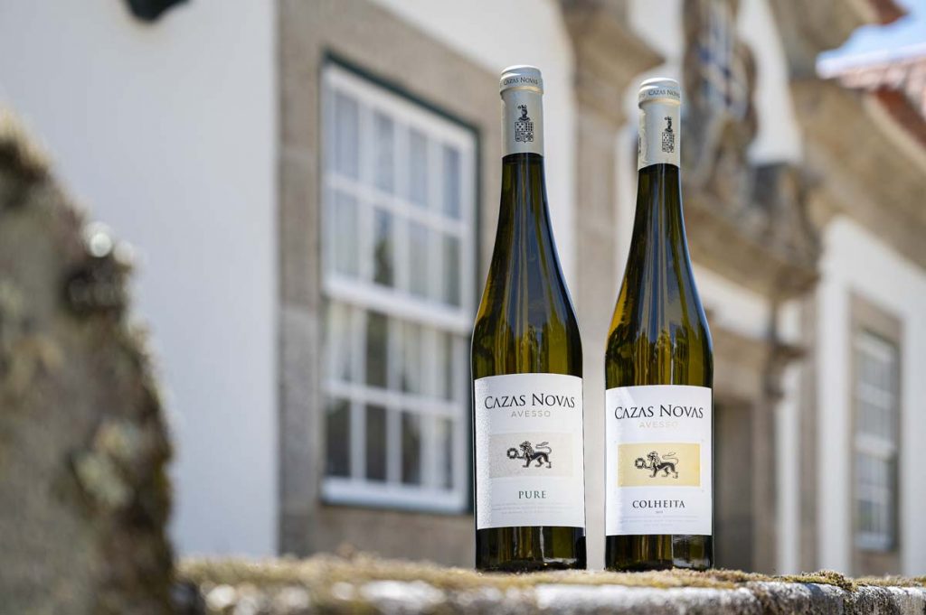 vinhos Cazas Novas