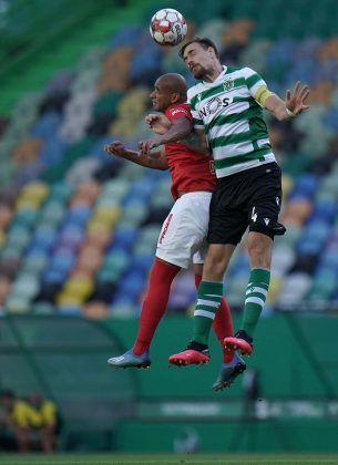 Le&otilde;oes