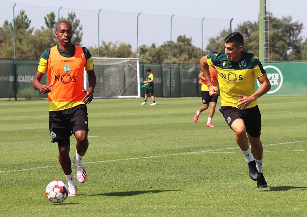 Treino dos Leões 