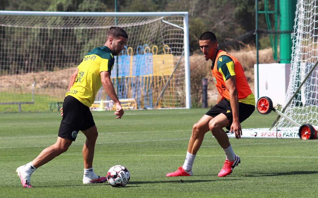 Treino dos Leões 