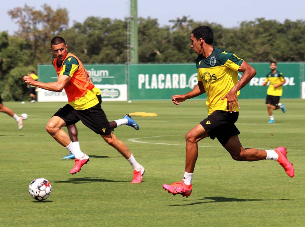Treino Leões