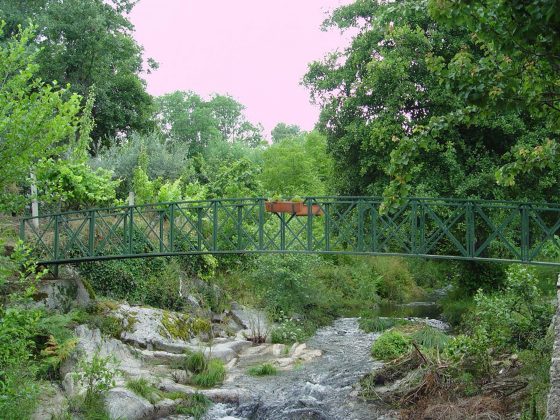 Ponte pedonal