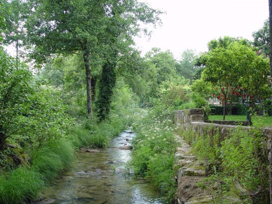 Pureza da Ribeira