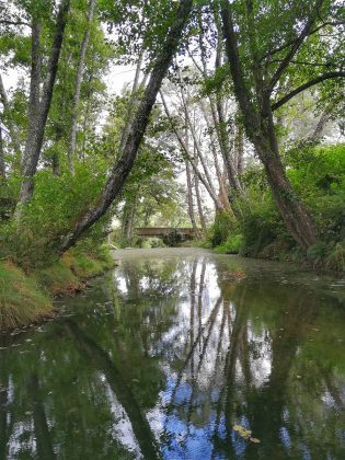 Pureza da Ribeira