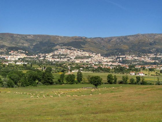 Quinta do Tapado