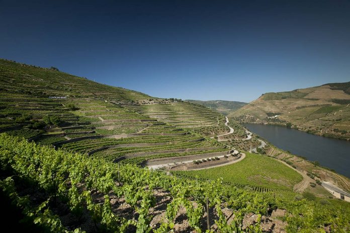 Caves Sandeman e a Quinta do Seixo