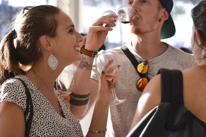Vinhos a Descobrir 205 Vinhos a Descobrir 3ª edição