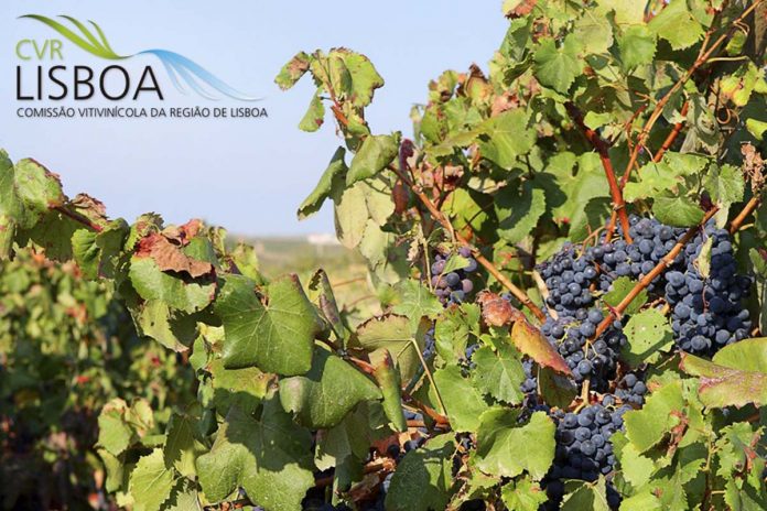 Vinhos de Lisboa vendas