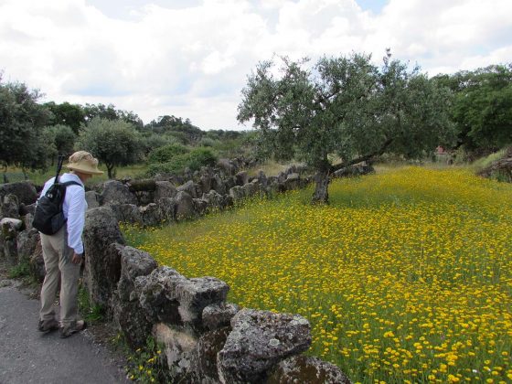 Entre Idanha-a-Velha e Monsanto