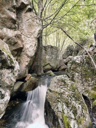 Vale do Mondego