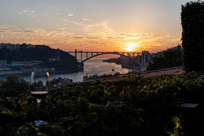 IVDP 7.ª edição do Port Wine day