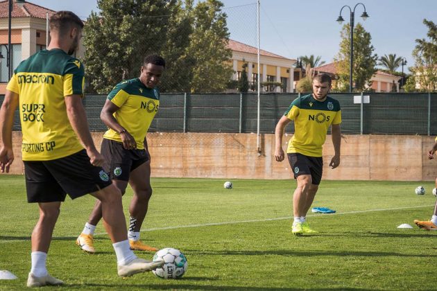 treino