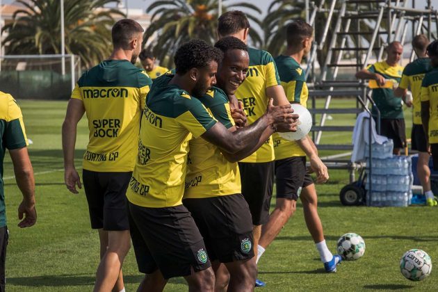 treino