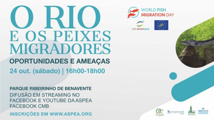 Benavente Dia Mundial dos Peixes Migradores