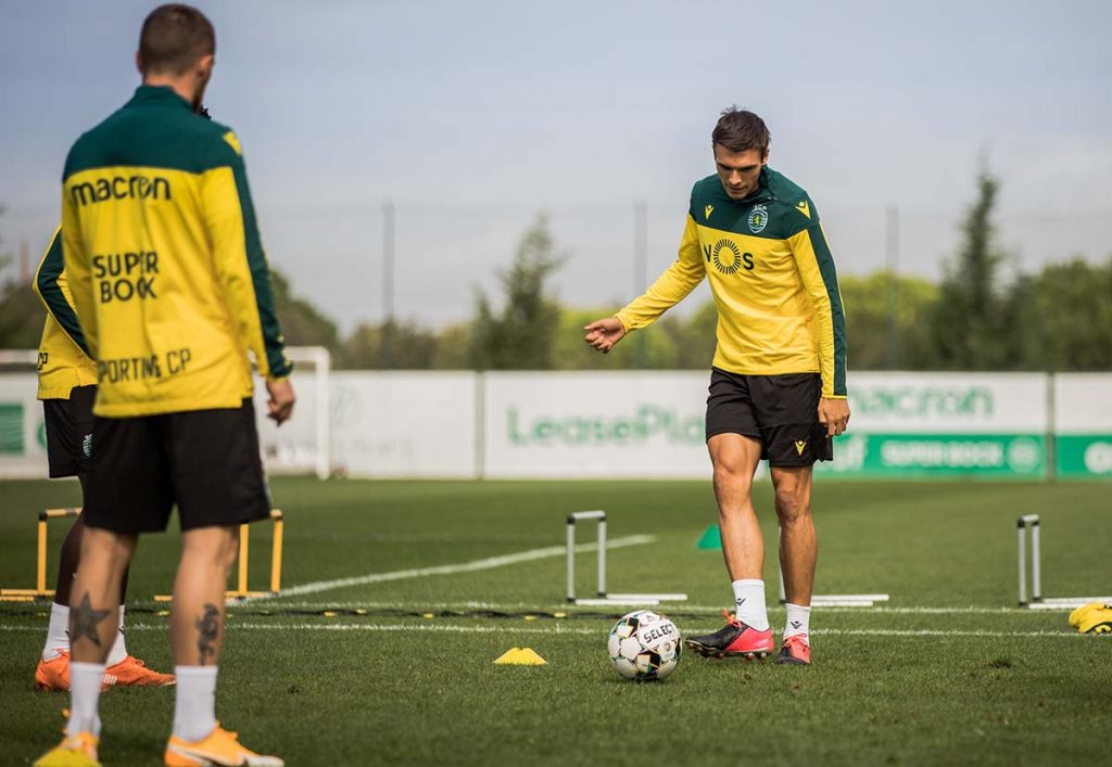 João Palhinha e Sporting