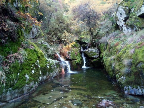 Serra da Estrela