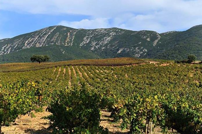 Vinhos Península de Setúbal e DECO Proteste