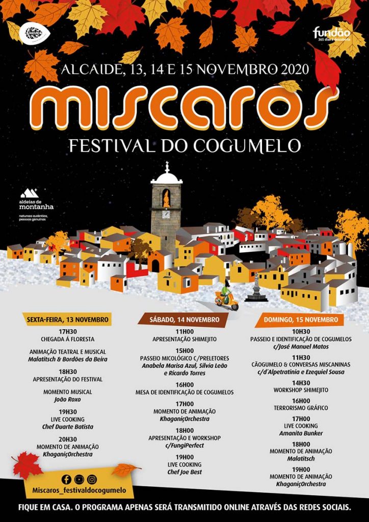 Festival do Cogumelo