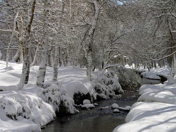 v&eacute;u branco da Serra da Estrela